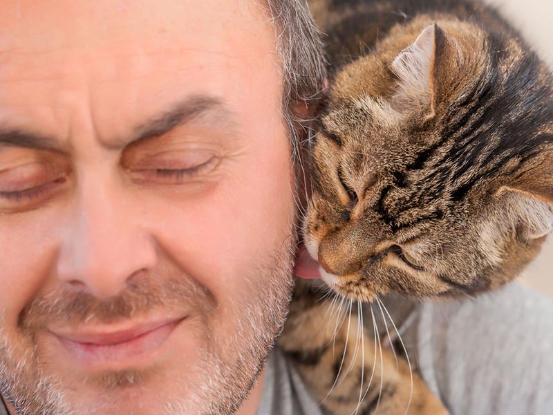 man and old cat: real love - have faith in / trusting