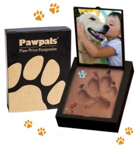 Paw Print Blackbox